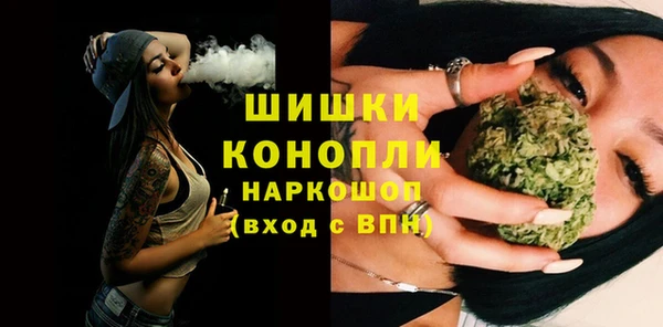 мяу мяу мука Гусь-Хрустальный