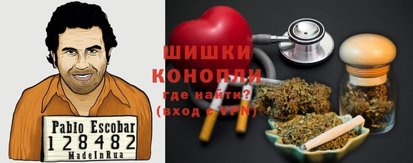 мяу мяу мука Гусь-Хрустальный