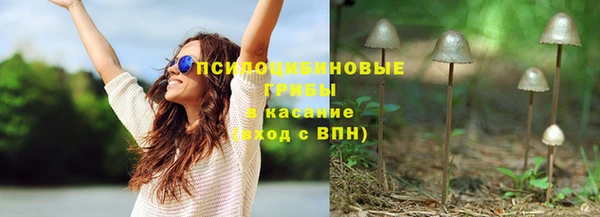 спиды Гусев