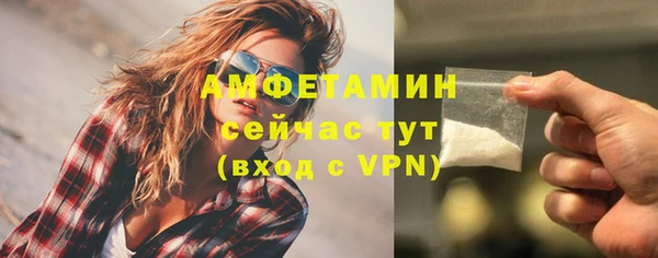 мяу мяу мука Гусь-Хрустальный