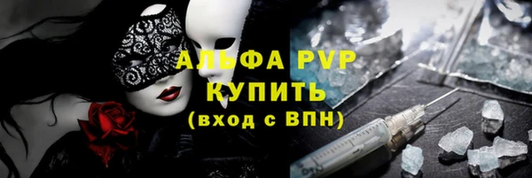 спиды Гусев