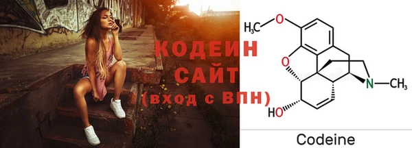 спиды Гусев