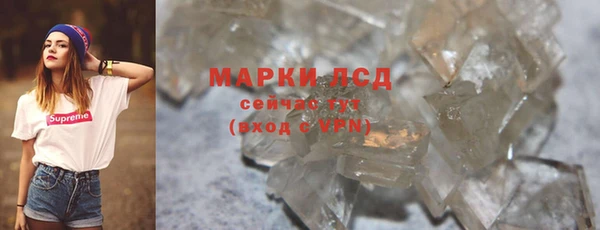 спиды Гусев