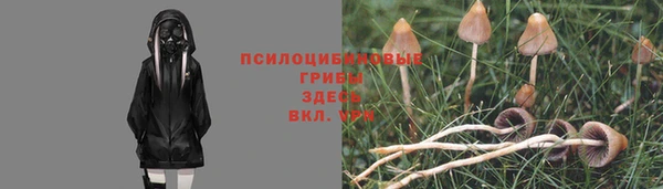 спиды Гусев