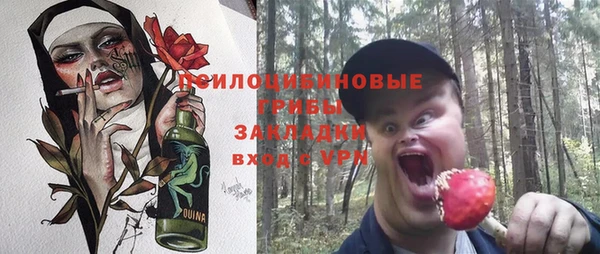 мяу мяу мука Гусь-Хрустальный