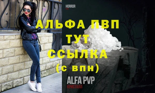 спиды Гусев