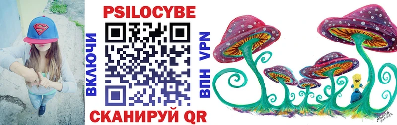 Псилоцибиновые грибы Psilocybe  Купить где  Каспийск 